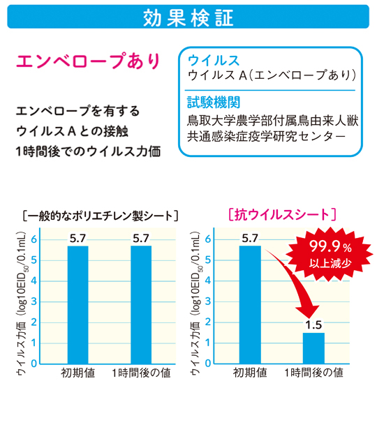 抗ウイルス効果の検証